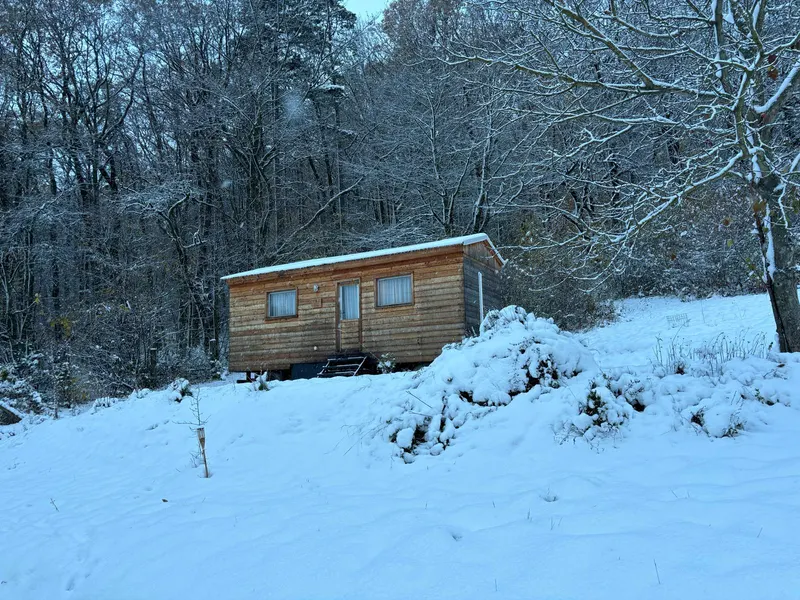 Malá drevená chata v zasnežených stromoch